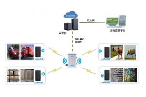 智能LoRa定位裝置系統應用場景及優勢